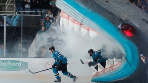 San Jose Sharks 