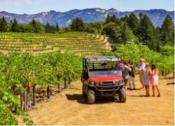 All Terrain Vineyard Experience